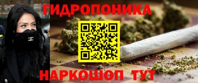 jwh Дубна