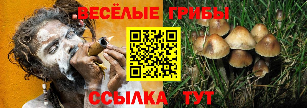 Казань  Псилоцибиновые грибы мицелий  Галлюциногенные грибы MAGIC MUSHROOMS  Вход с VPN 